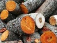 Купить ольховые дрова в Коломне Коломенском районе