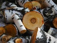 Купить дрова берёзовые в Московской области